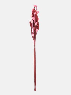 Maroon Dry Flower Stick
